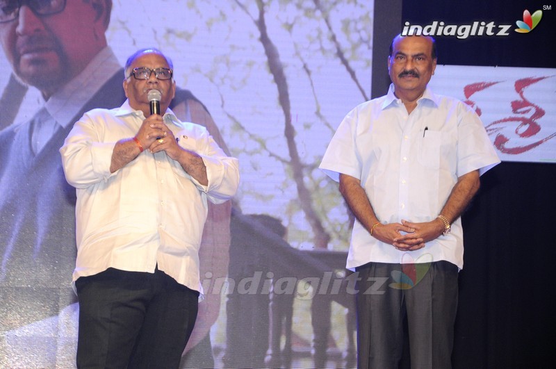 'Sri Sri' Audio Launch (Set-1)