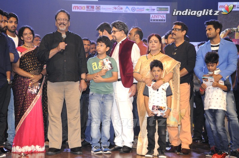 'Sri Sri' Audio Launch (Set-2)