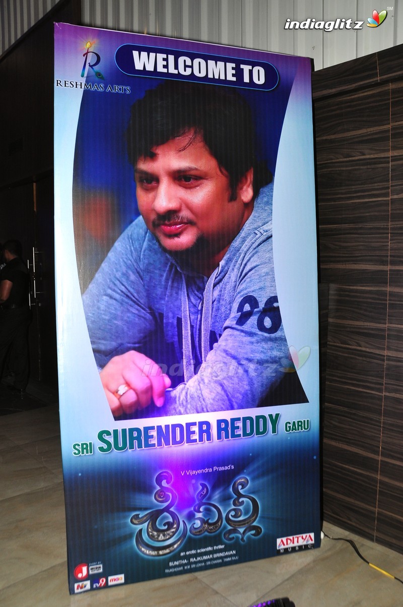 'Sri Valli' Audio Launch (Set-1)