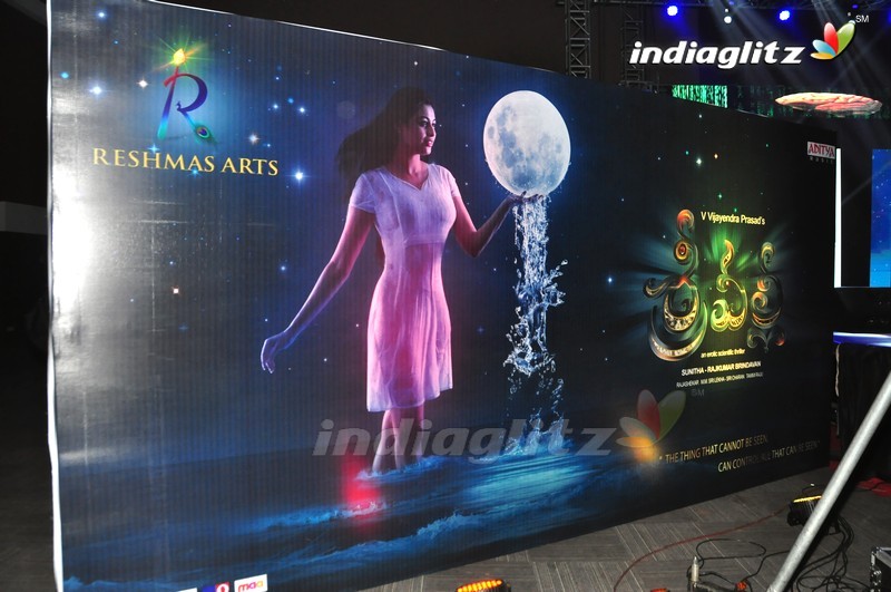 'Sri Valli' Audio Launch (Set-1)