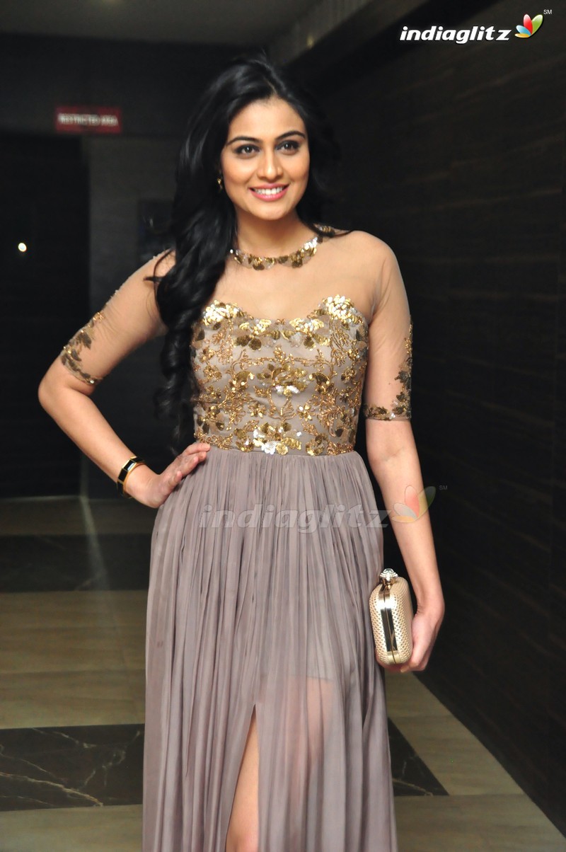 'Sri Valli' Audio Launch (Set-1)