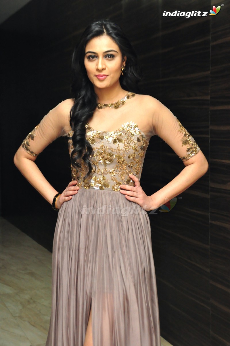 'Sri Valli' Audio Launch (Set-1)