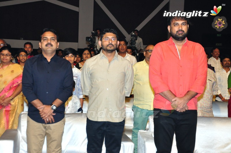 'Sri Valli' Audio Launch (Set-1)