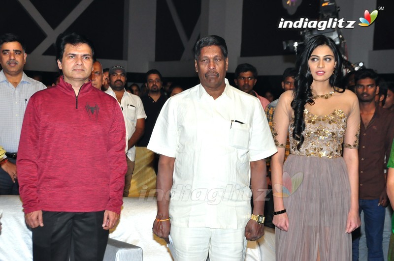 'Sri Valli' Audio Launch (Set-1)