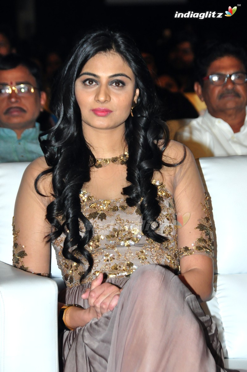 'Sri Valli' Audio Launch (Set-1)