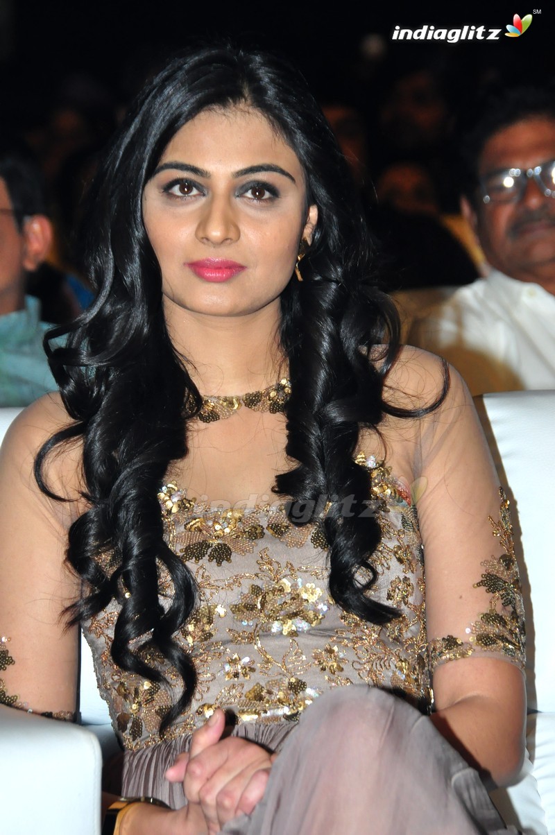 'Sri Valli' Audio Launch (Set-1)