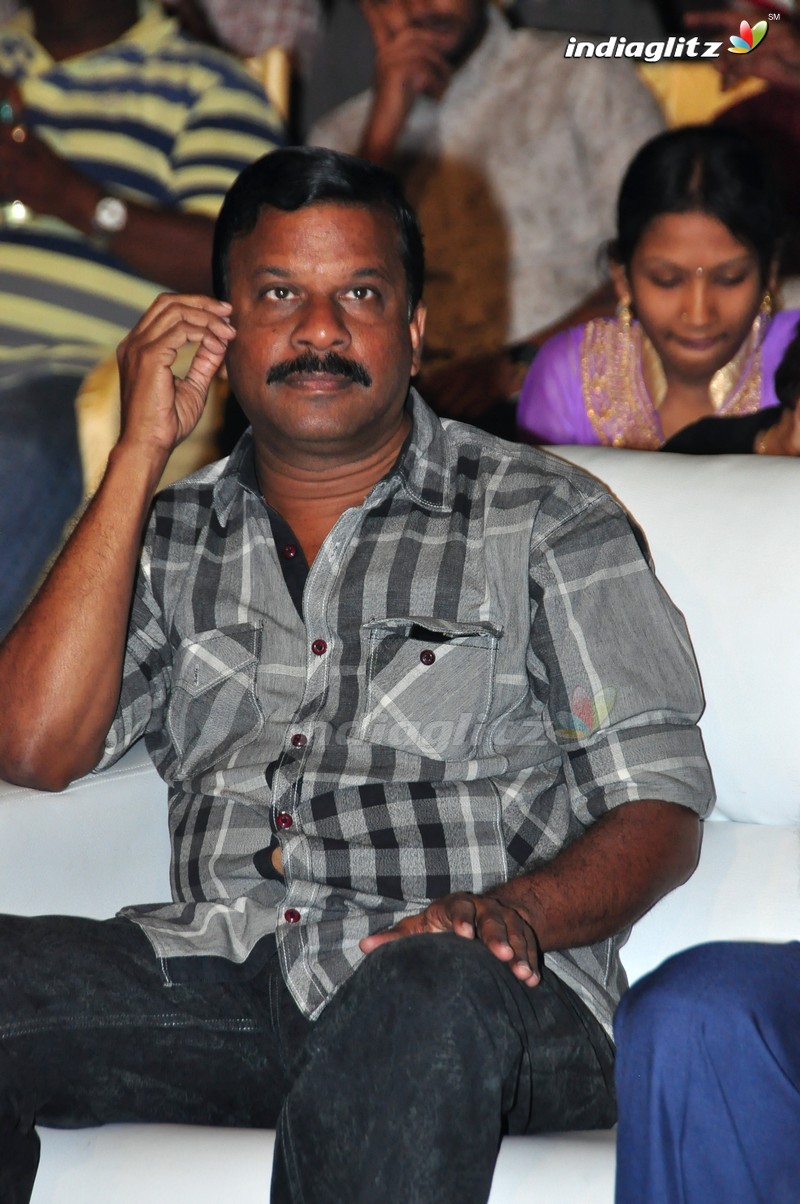 'Sri Valli' Audio Launch (Set-1)