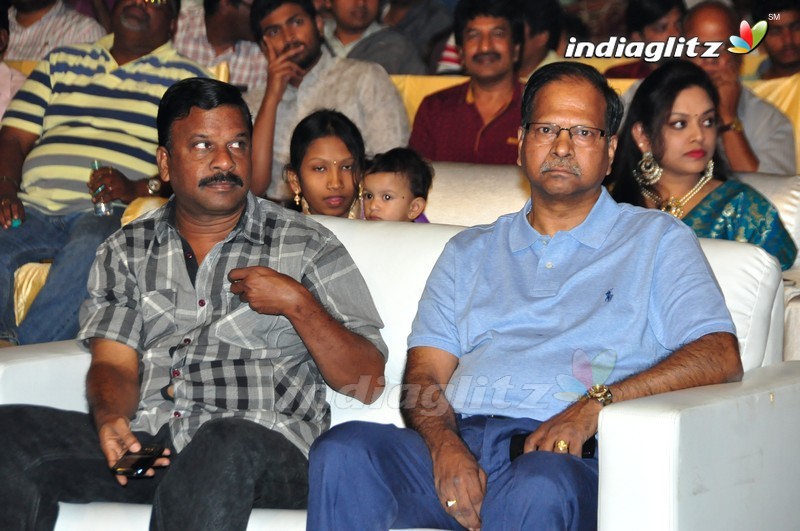 'Sri Valli' Audio Launch (Set-1)