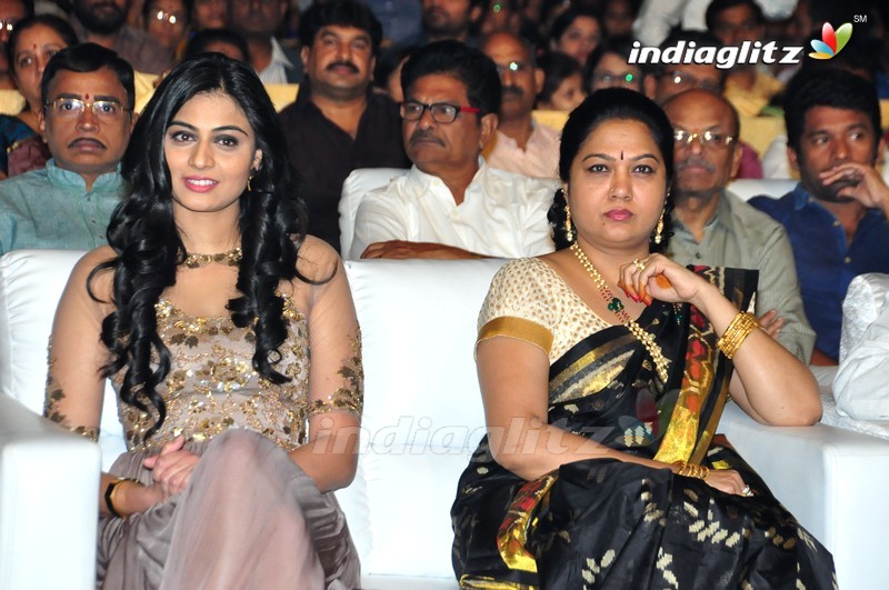 'Sri Valli' Audio Launch (Set-1)