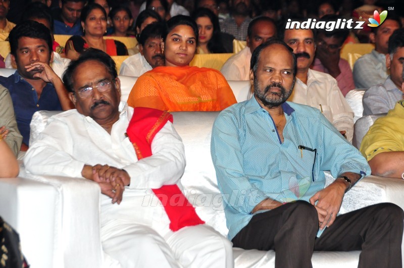 'Sri Valli' Audio Launch (Set-1)