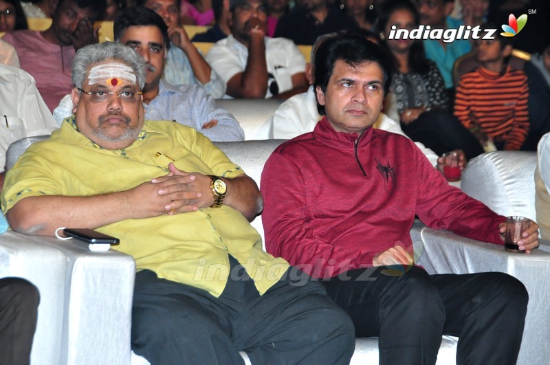 'Sri Valli' Audio Launch (Set-1)