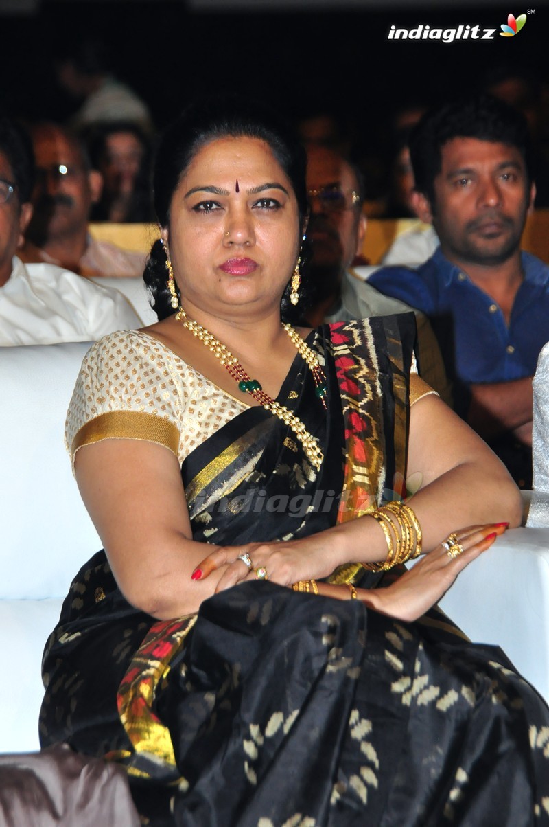 'Sri Valli' Audio Launch (Set-1)