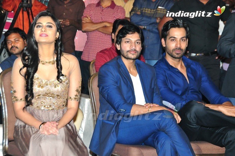 'Sri Valli' Audio Launch (Set-1)