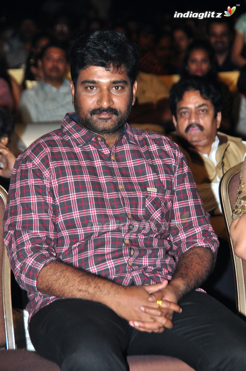 'Sri Valli' Audio Launch (Set-1)