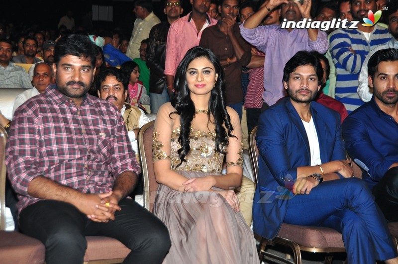 'Sri Valli' Audio Launch (Set-1)