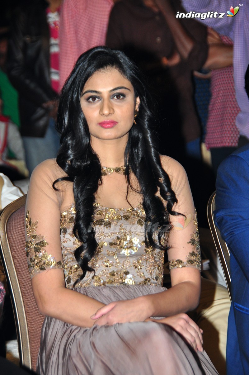 'Sri Valli' Audio Launch (Set-1)