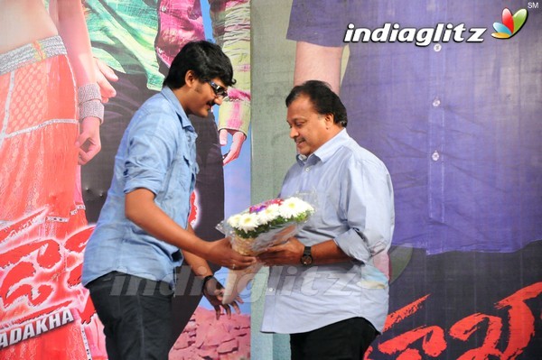 'Tadakha' Audio Launch (Set-2)