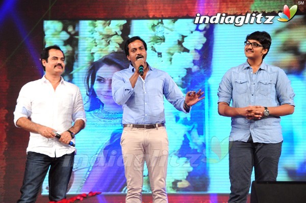 'Tadakha' Audio Launch (Set-2)