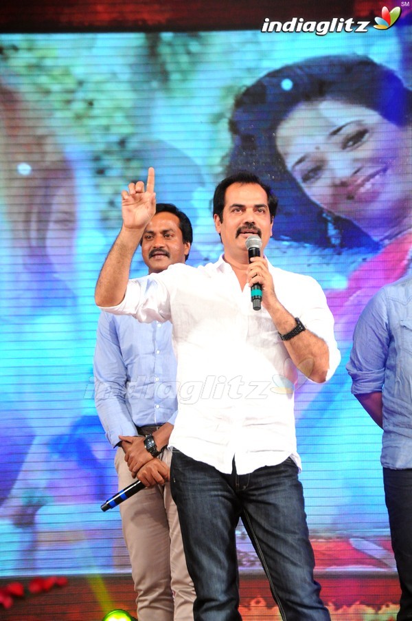 'Tadakha' Audio Launch (Set-2)