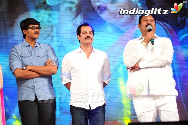 'Tadakha' Audio Launch (Set-2)