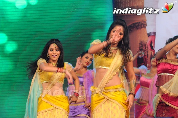 'Tadakha' Audio Launch (Set-2)