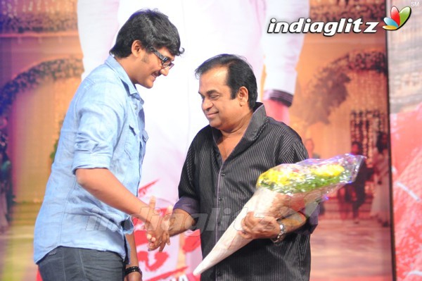 'Tadakha' Audio Launch (Set-2)