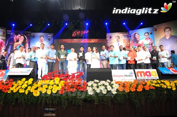 'Tadakha' Audio Launch (Set-2)