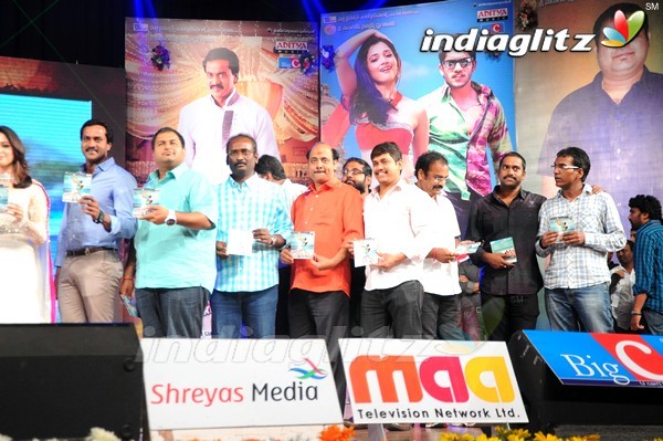 'Tadakha' Audio Launch (Set-2)