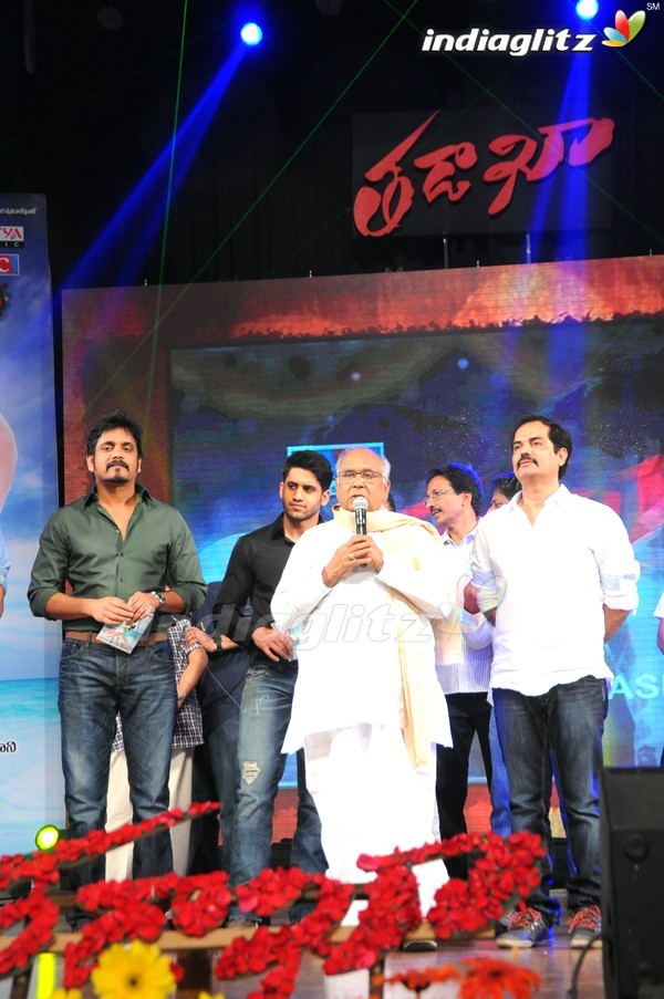 'Tadakha' Audio Launch (Set-2)