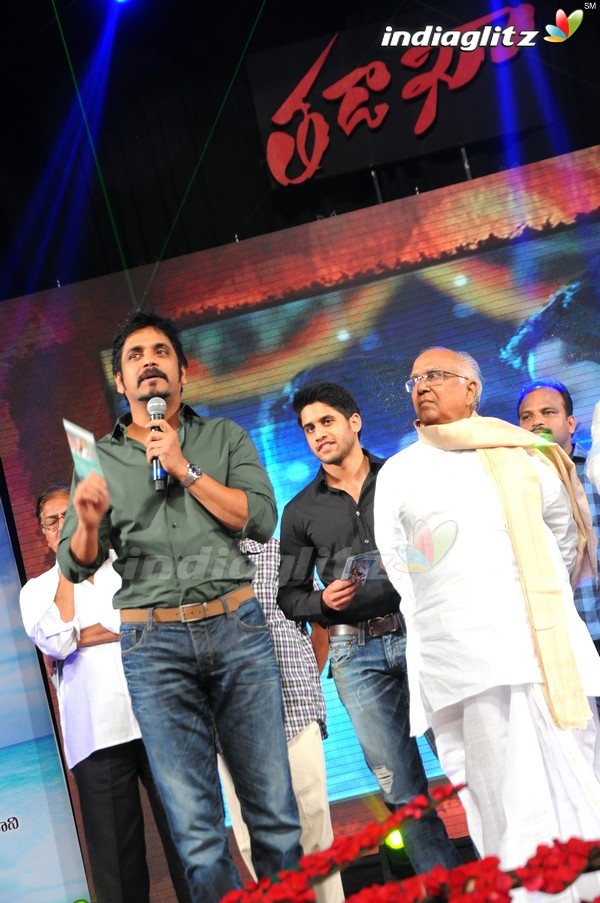 'Tadakha' Audio Launch (Set-2)