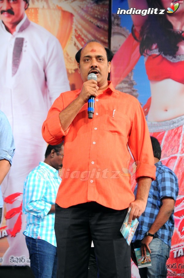 'Tadakha' Audio Launch (Set-2)