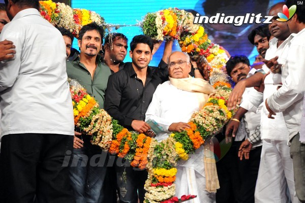 'Tadakha' Audio Launch (Set-2)