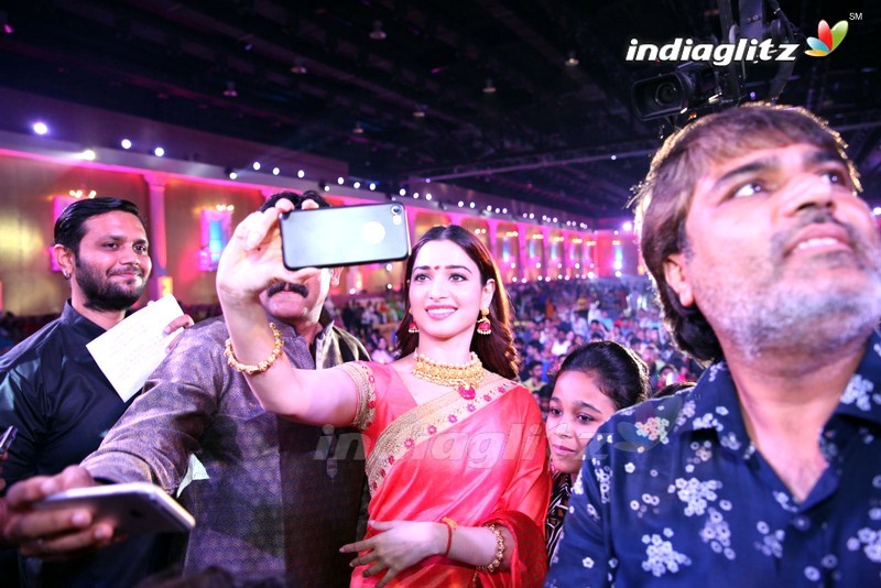 Tamannah @ Dildar Dandiya Celebrations