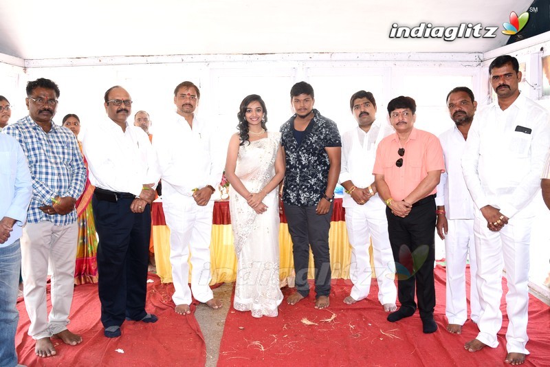 Tara - Nelu Production No 2 Movie Launch