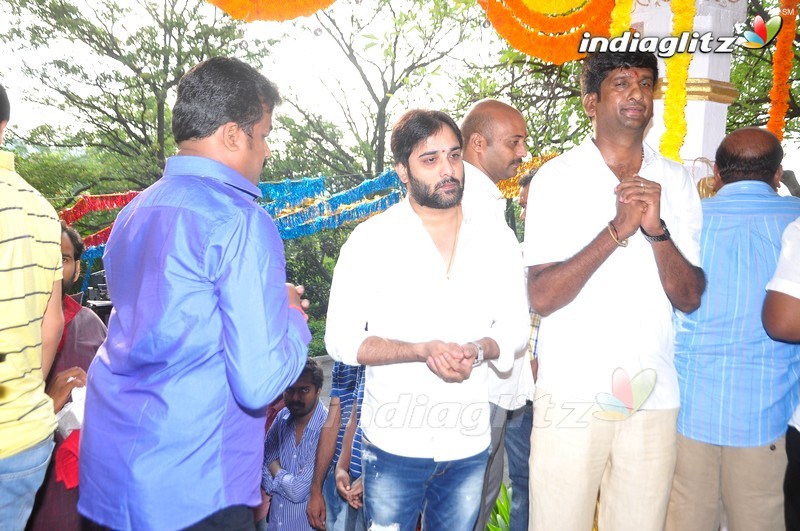 Tarun New Movie Launch