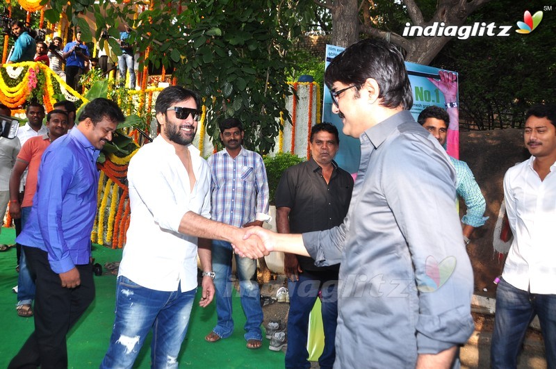 Tarun New Movie Launch