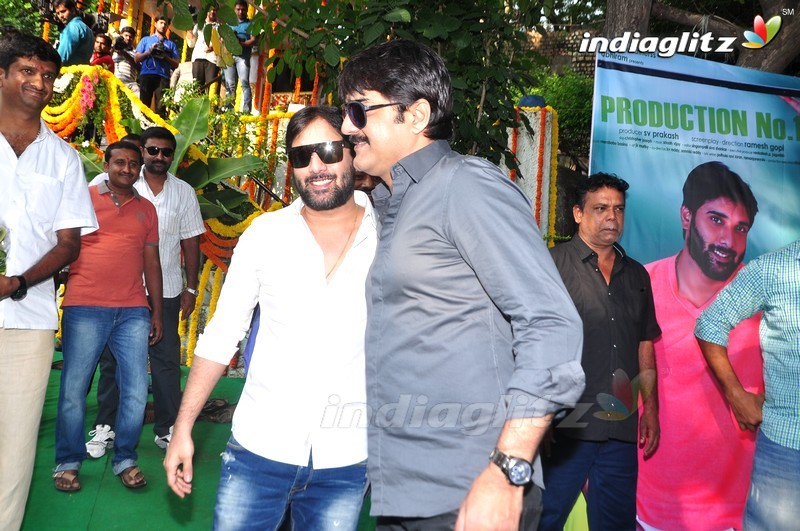 Tarun New Movie Launch