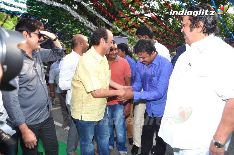 Tarun New Movie Launch