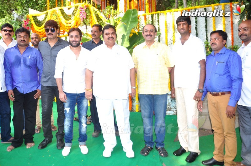 Tarun New Movie Launch