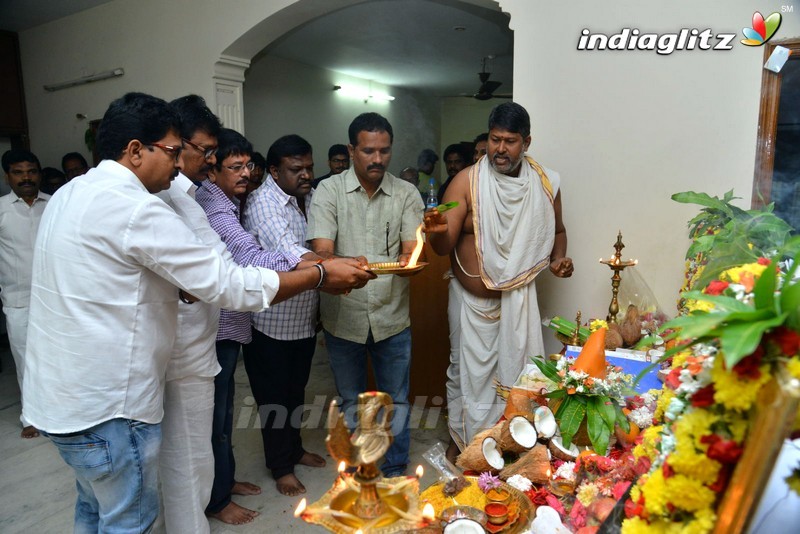 'Tenali Ramakrishna BA BL' Opening