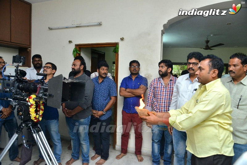 'Tenali Ramakrishna BA BL' Opening