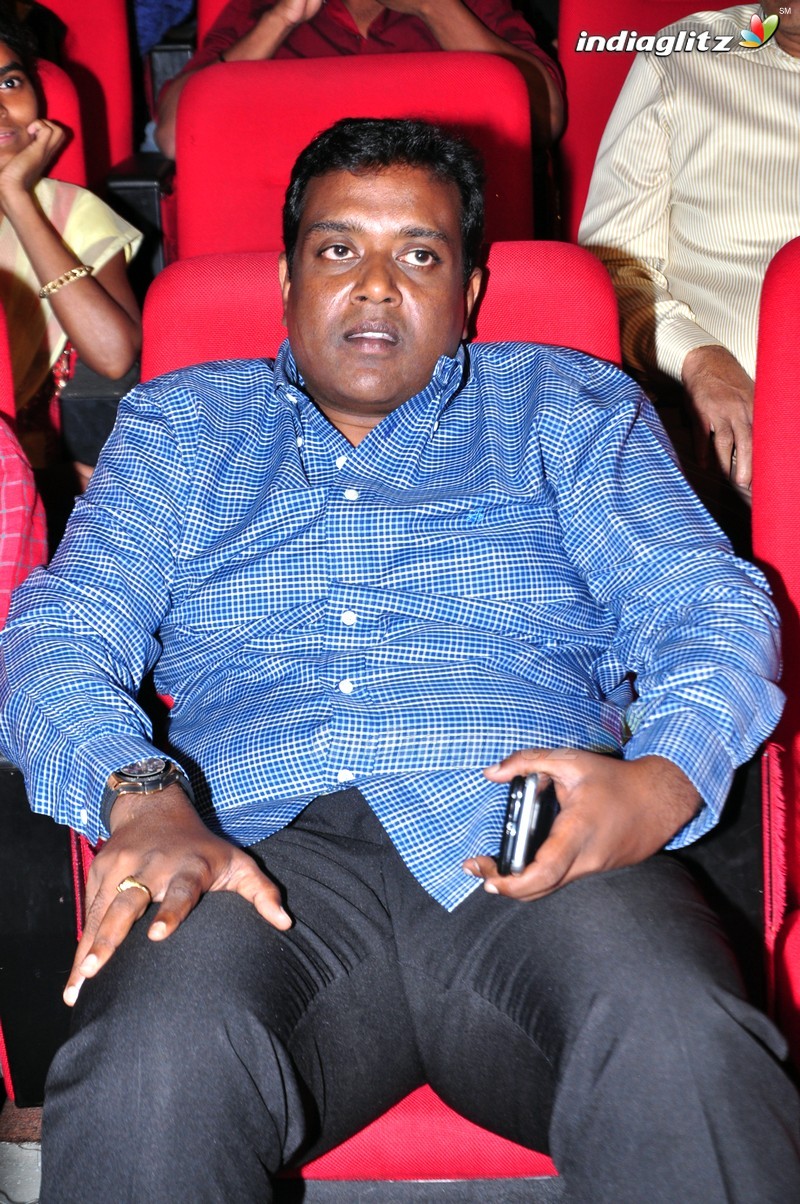 'Thikka' Audio Launch (Set-1)