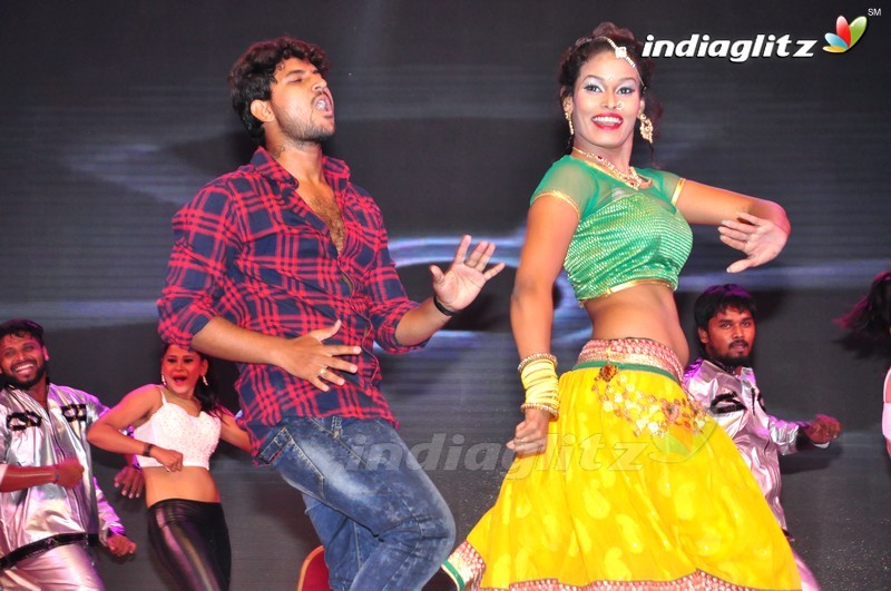 'Thikka' Audio Launch (Set-1)