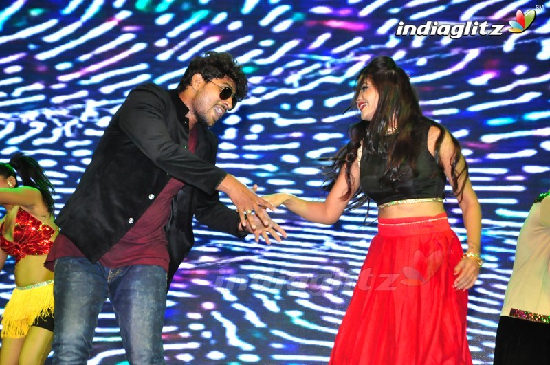 'Thikka' Audio Launch (Set-1)