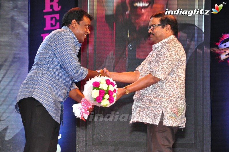 'Thikka' Audio Launch (Set-1)