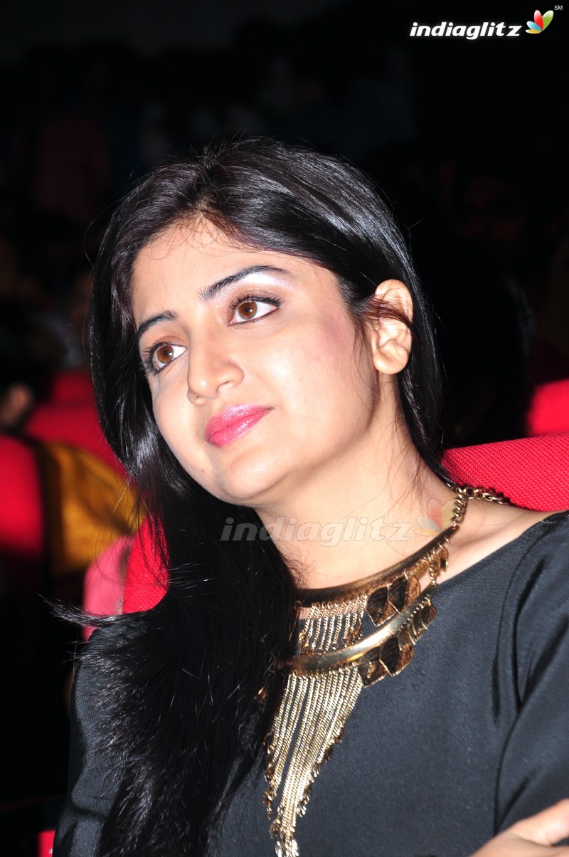 'Thikka' Audio Launch (Set-1)