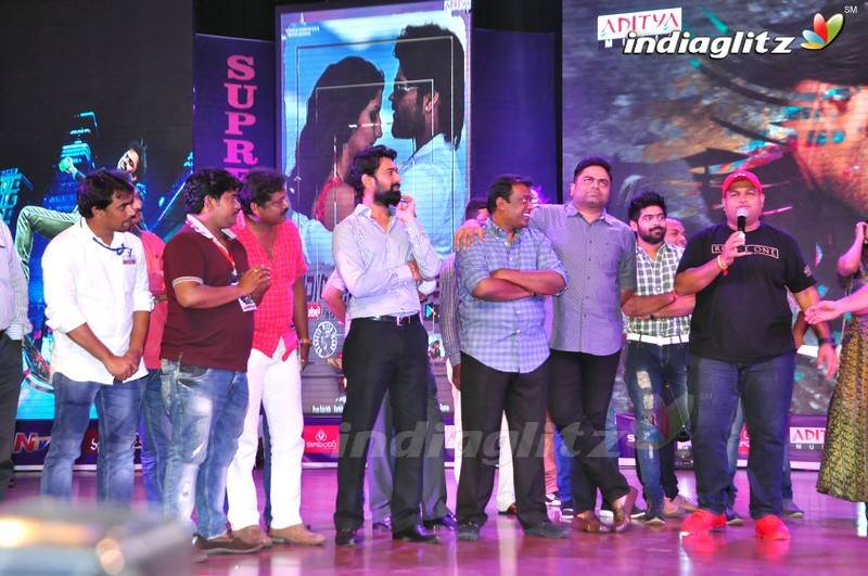 'Thikka' Audio Launch (Set-2)