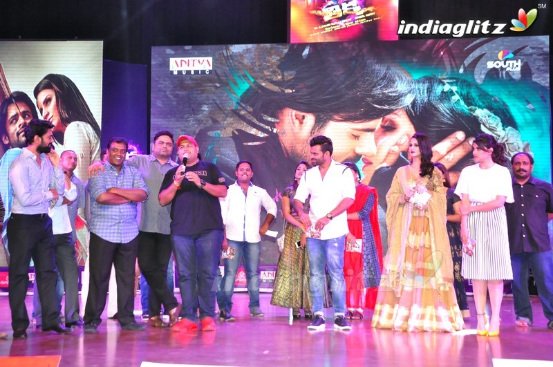 'Thikka' Audio Launch (Set-2)