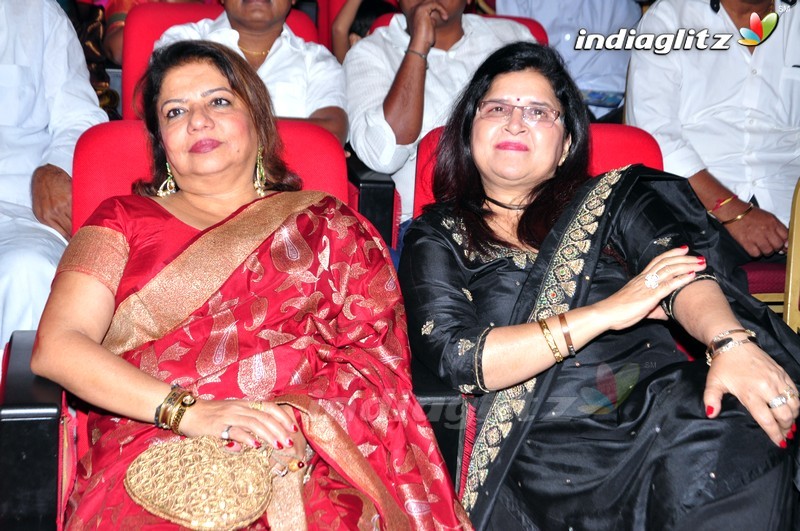 'Thikka' Audio Launch (Set-2)