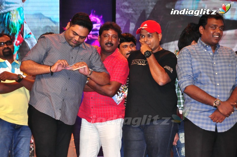 'Thikka' Audio Launch (Set-2)